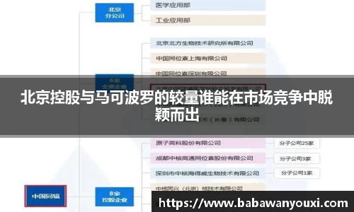 北京控股与马可波罗的较量谁能在市场竞争中脱颖而出